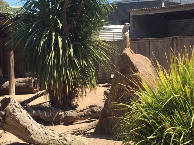 Symbio Wildlife Park - Thursday 15th October, 2020 Image -5f8d03bd56c2e